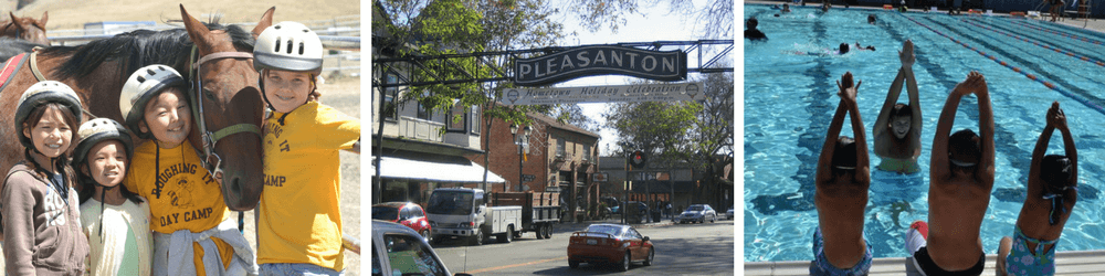 Young Campers Make Friends with Horse, "Pleasanton" Sign Hangs Over Busy Road, Swimmers Perfect Their Streamlines During Lesson