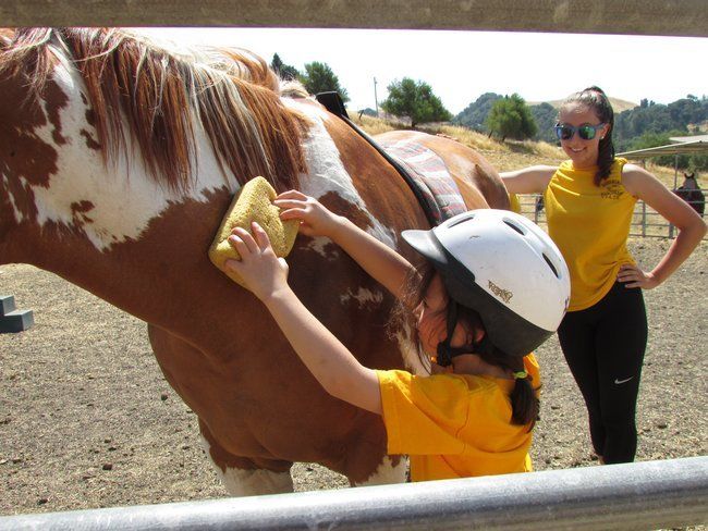 Come see camp in action. Schedule a personal tour of Roughing It Day Camp