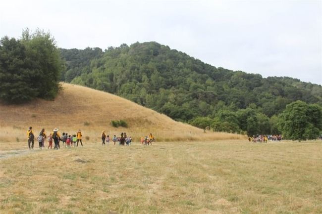 Campers hiking in the outdoors.