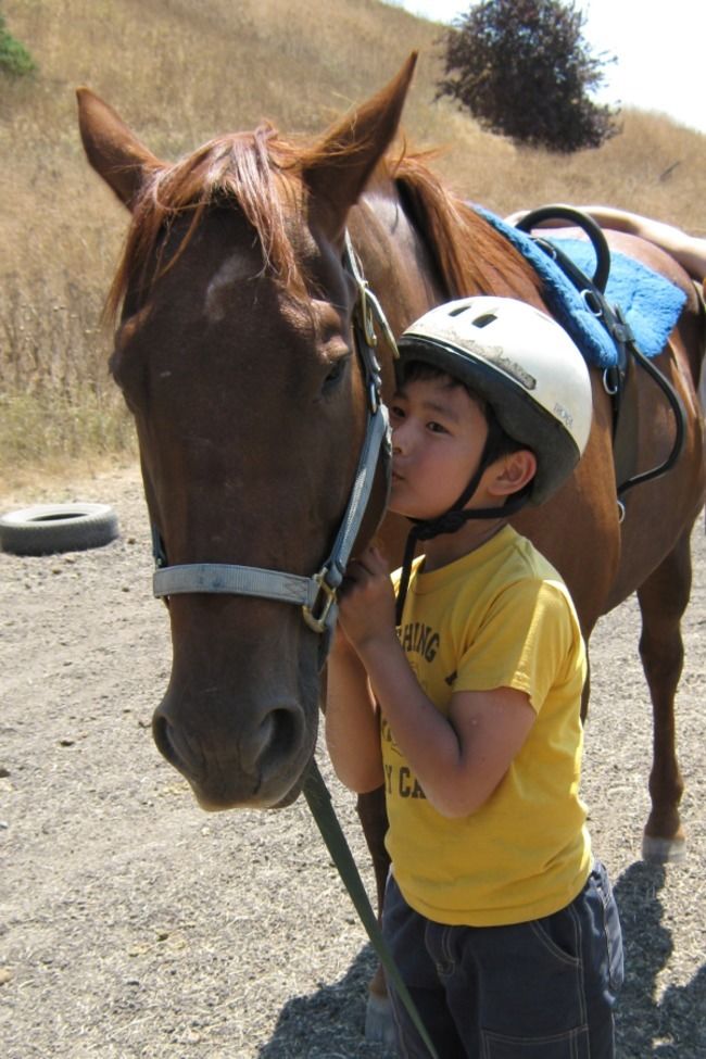 Campers Love our Camp Horses